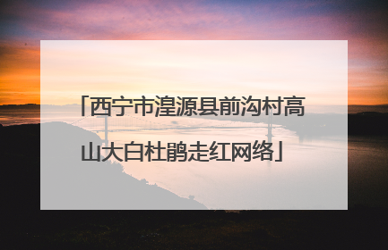 西宁市湟源县前沟村高山大白杜鹃走红网络
