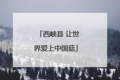 西峡县 让世界爱上中国菇
