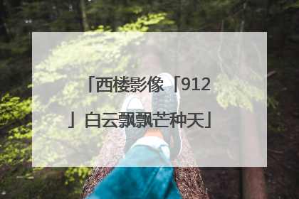 西楼影像「912」白云飘飘芒种天
