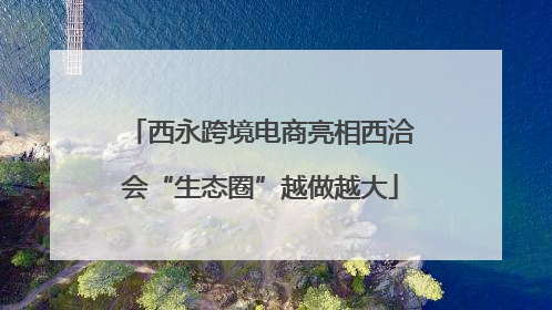 西永跨境电商亮相西洽会“生态圈”越做越大