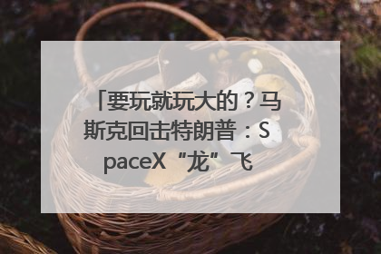 要玩就玩大的？马斯克回击特朗普：SpaceX“龙”飞船将立即退役！