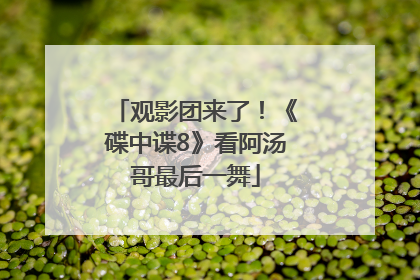 观影团来了！《碟中谍8》看阿汤哥最后一舞