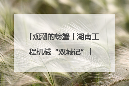 观潮的螃蟹丨湖南工程机械“双城记”