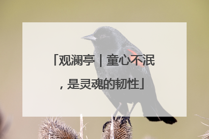 观澜亭｜童心不泯，是灵魂的韧性
