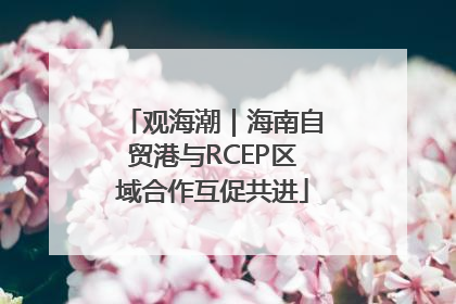 观海潮｜海南自贸港与RCEP区域合作互促共进