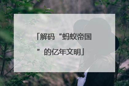 解码“蚂蚁帝国”的亿年文明