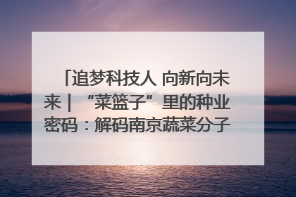 追梦科技人 向新向未来｜“菜篮子”里的种业密码：解码南京蔬菜分子育种的创新之路