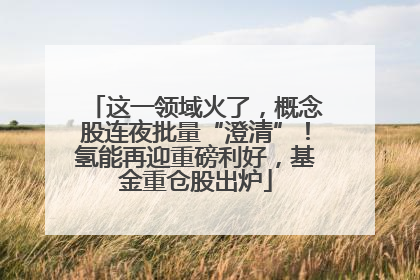 这一领域火了，概念股连夜批量“澄清”！氢能再迎重磅利好，基金重仓股出炉