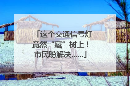这个交通信号灯竟然“藏”树上！市民盼解决……