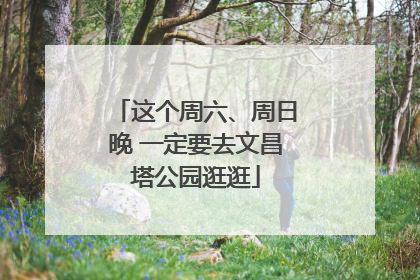 这个周六、周日晚 一定要去文昌塔公园逛逛