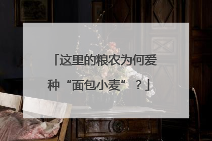 这里的粮农为何爱种“面包小麦”？
