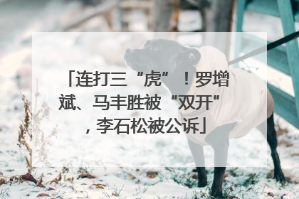 连打三“虎”！罗增斌、马丰胜被“双开”，李石松被公诉