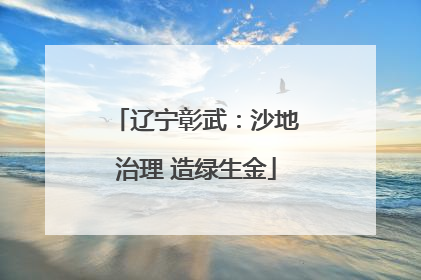 辽宁彰武：沙地治理 造绿生金