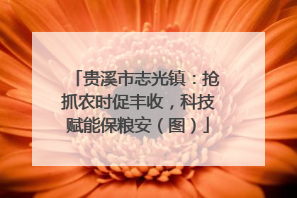 贵溪市志光镇：抢抓农时促丰收，科技赋能保粮安（图）