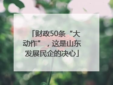 财政50条“大动作”，这是山东发展民企的决心