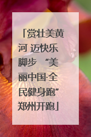 赏壮美黄河 迈快乐脚步 “美丽中国·全民健身跑”郑州开跑