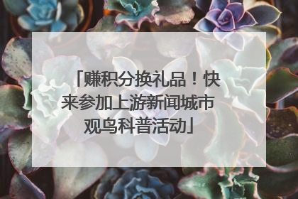 赚积分换礼品！快来参加上游新闻城市观鸟科普活动