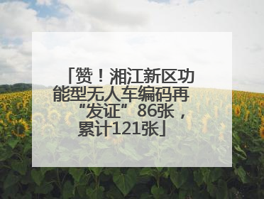 赞！湘江新区功能型无人车编码再“发证”86张，累计121张