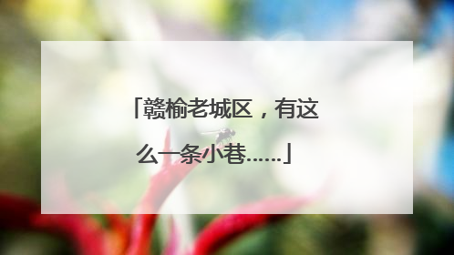 赣榆老城区，有这么一条小巷……