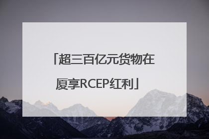 超三百亿元货物在厦享RCEP红利