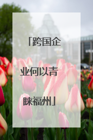 跨国企业何以青睐福州