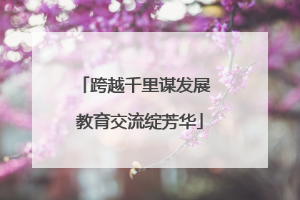 跨越千里谋发展 教育交流绽芳华