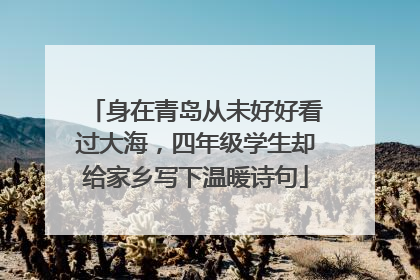 身在青岛从未好好看过大海，四年级学生却给家乡写下温暖诗句
