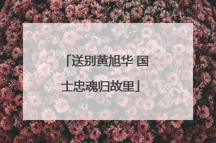 送别黄旭华 国士忠魂归故里