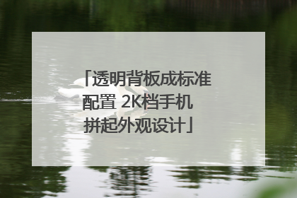 透明背板成标准配置 2K档手机拼起外观设计