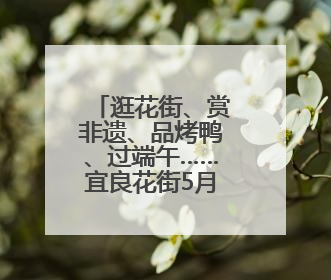 逛花街、赏非遗、品烤鸭、过端午……宜良花街5月28日开街
