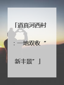 道真河西村：一地双收“新丰景”