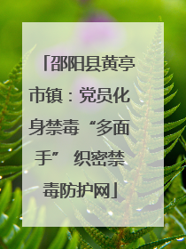 邵阳县黄亭市镇：党员化身禁毒“多面手” 织密禁毒防护网