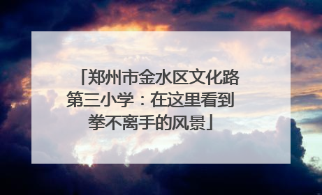 郑州市金水区文化路第三小学：在这里看到拳不离手的风景
