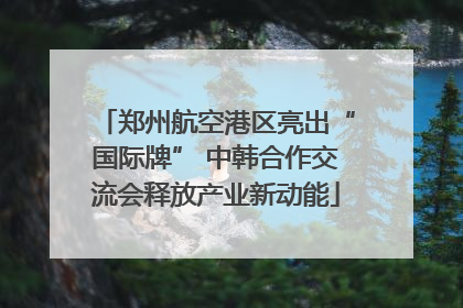 郑州航空港区亮出“国际牌” 中韩合作交流会释放产业新动能