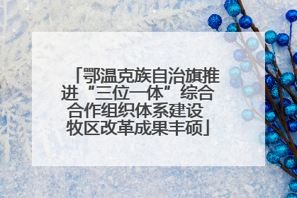 鄂温克族自治旗推进“三位一体”综合合作组织体系建设 牧区改革成果丰硕