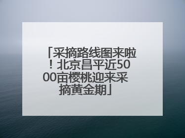 采摘路线图来啦！北京昌平近5000亩樱桃迎来采摘黄金期