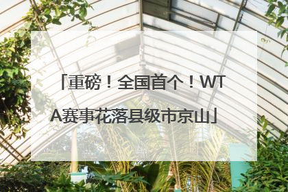 重磅！全国首个！WTA赛事花落县级市京山