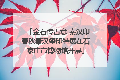 金石传古意 秦汉印春秋秦汉玺印特展在石家庄市博物馆开展