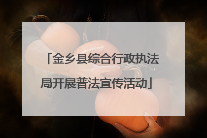 金乡县综合行政执法局开展普法宣传活动