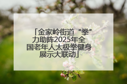 金家岭街道“拳”力助阵2025年全国老年人太极拳健身展示大联动