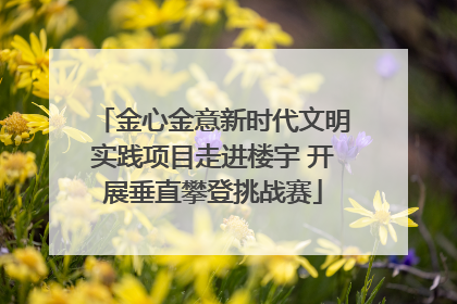 金心金意新时代文明实践项目走进楼宇 开展垂直攀登挑战赛