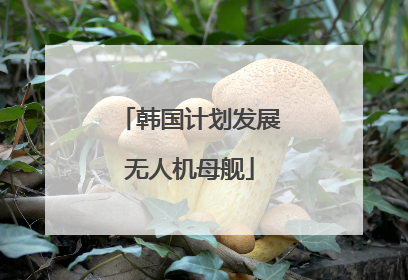 韩国计划发展无人机母舰