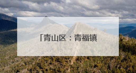 青山区：青福镇民族团结与产业升级的双向奔赴
