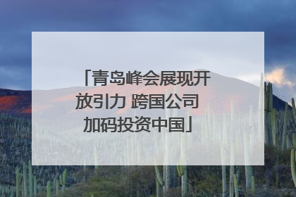 青岛峰会展现开放引力 跨国公司加码投资中国