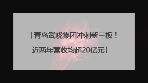 青岛武晓集团冲刺新三板！近两年营收均超20亿元