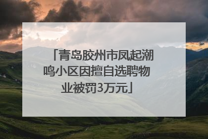 青岛胶州市凤起潮鸣小区因擅自选聘物业被罚3万元
