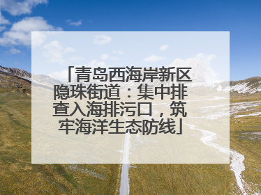 青岛西海岸新区隐珠街道：集中排查入海排污口，筑牢海洋生态防线