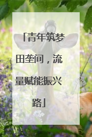 青年筑梦田垄间，流量赋能振兴路