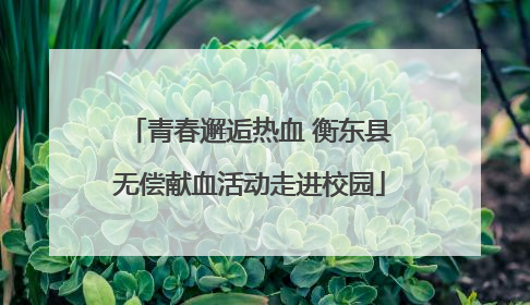 青春邂逅热血 衡东县无偿献血活动走进校园