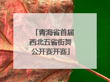 青海省首届西北五省街舞公开赛开赛